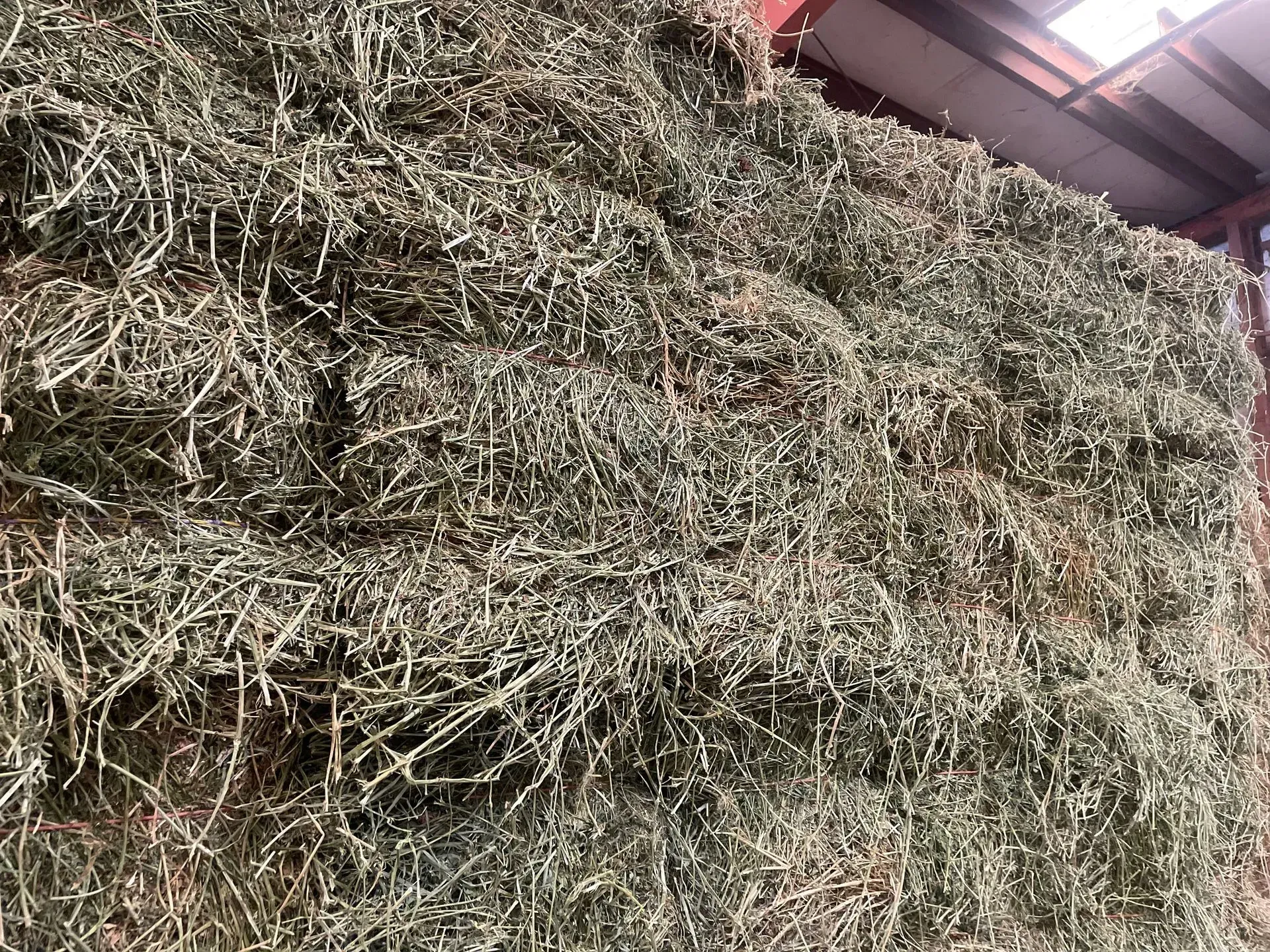 Stacked rectangular hay bales, inside a barn.