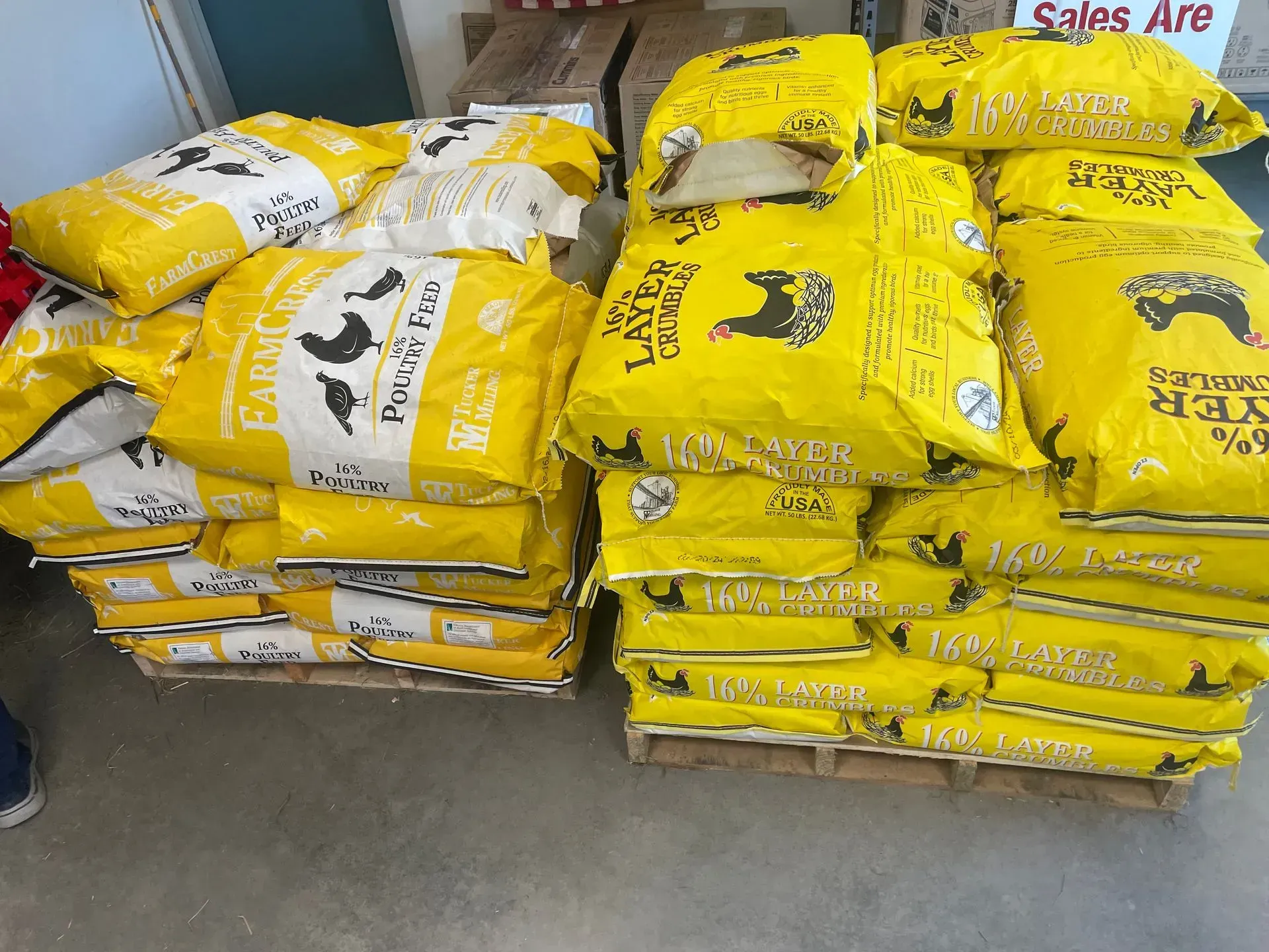 Stacks of yellow chicken feed bags on wooden pallets.