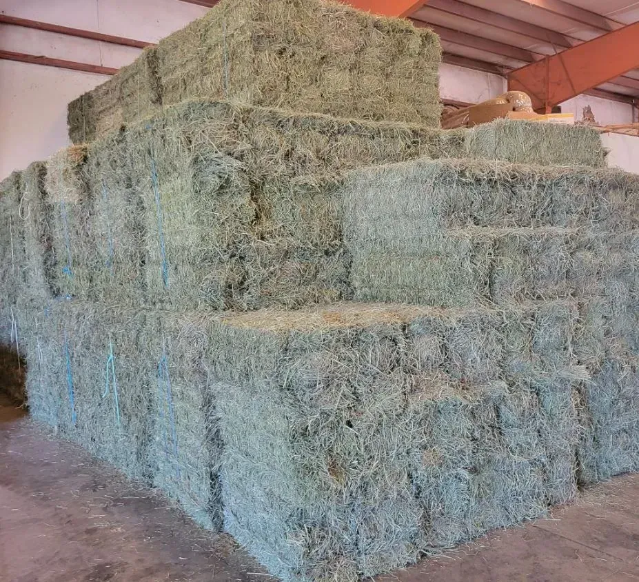 Hay bales stacked inside a warehouse, green and gray in color.