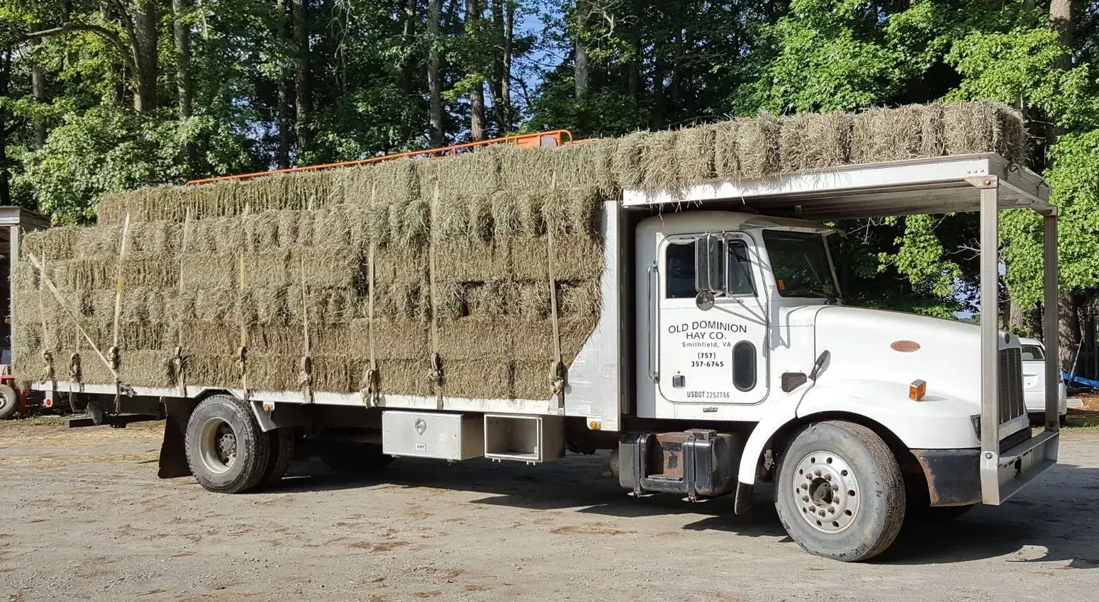 White semi-truck loaded with hay bales. Outdoors, daytime.