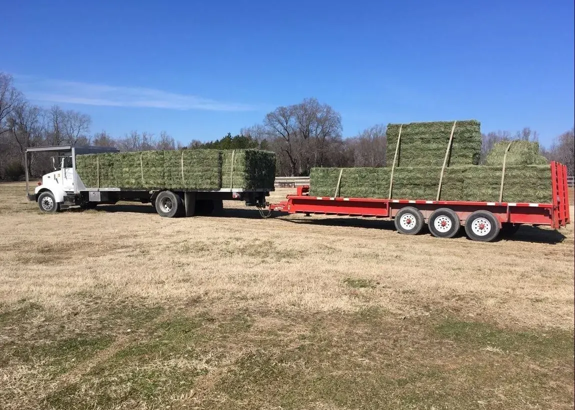 White truck hauling hay bales on its bed and a red trailer on a field under a blue sky.