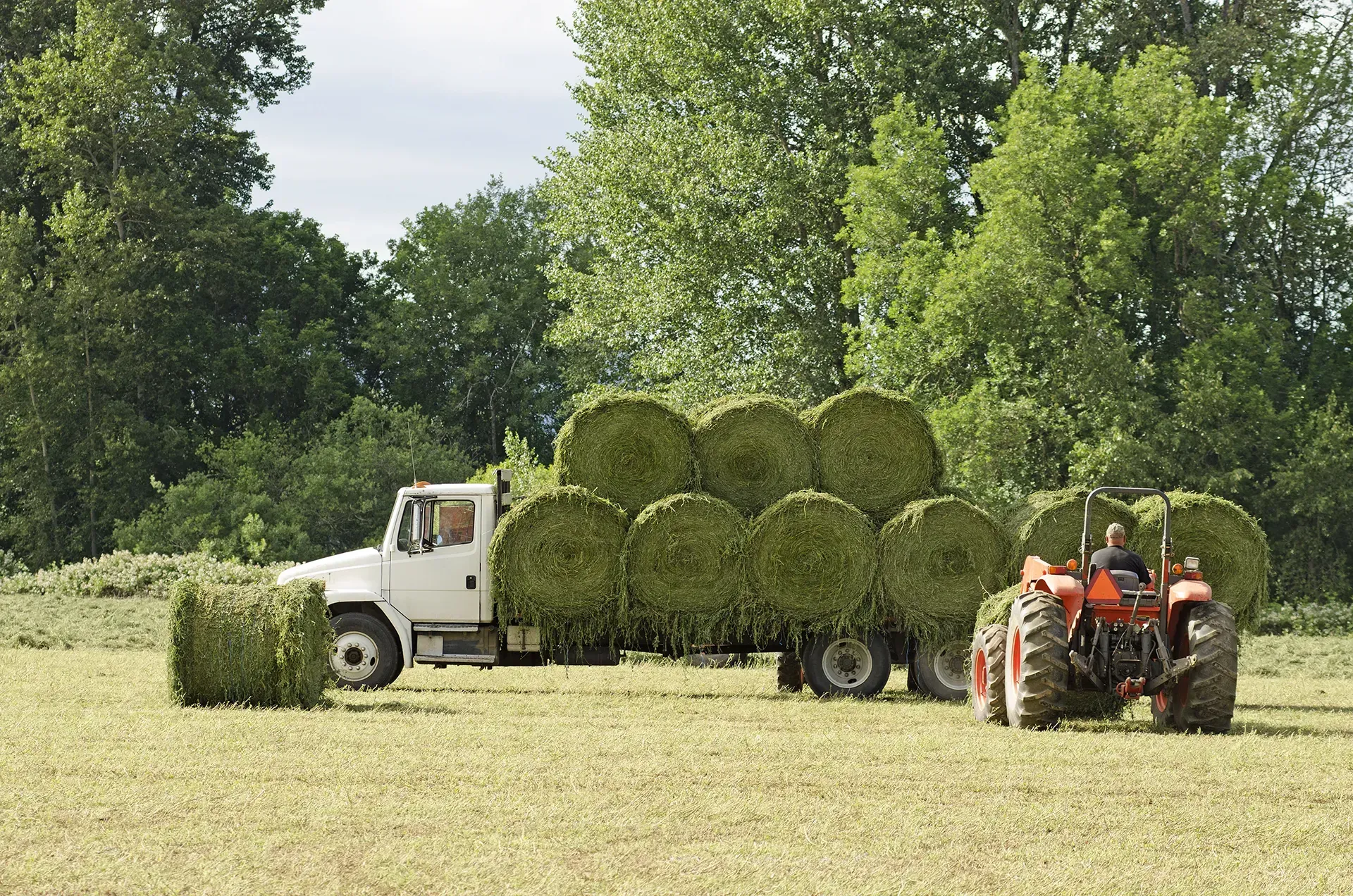 A tractor pulling a trailer loaded with round hay bales; truck behind; field with trees.