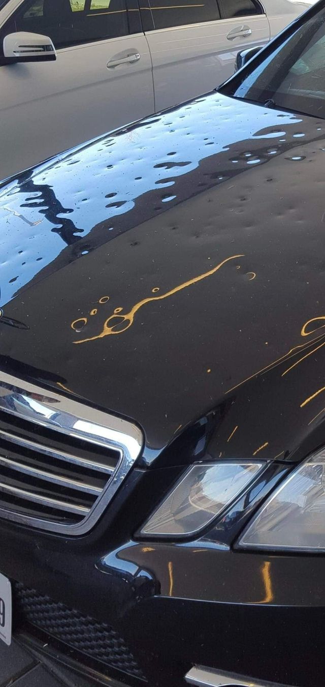 Black sedan hood with water streaks and front grille visible outdoors