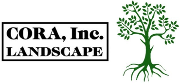 Cora, Inc Landscape - Logo