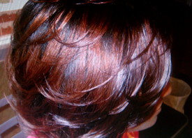 Hairstyles for Women