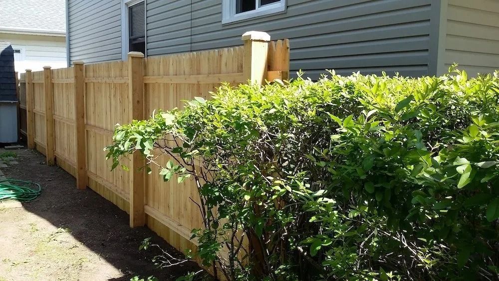 A wooden fence runs alongside a house exterior, partially obscured by a lush, green shrub in the foreground.