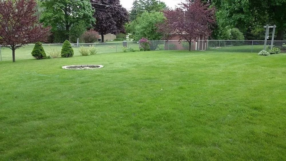A large, green backyard with a fire pit, scattered trees, and a wooden climbing frame structure near a fence.