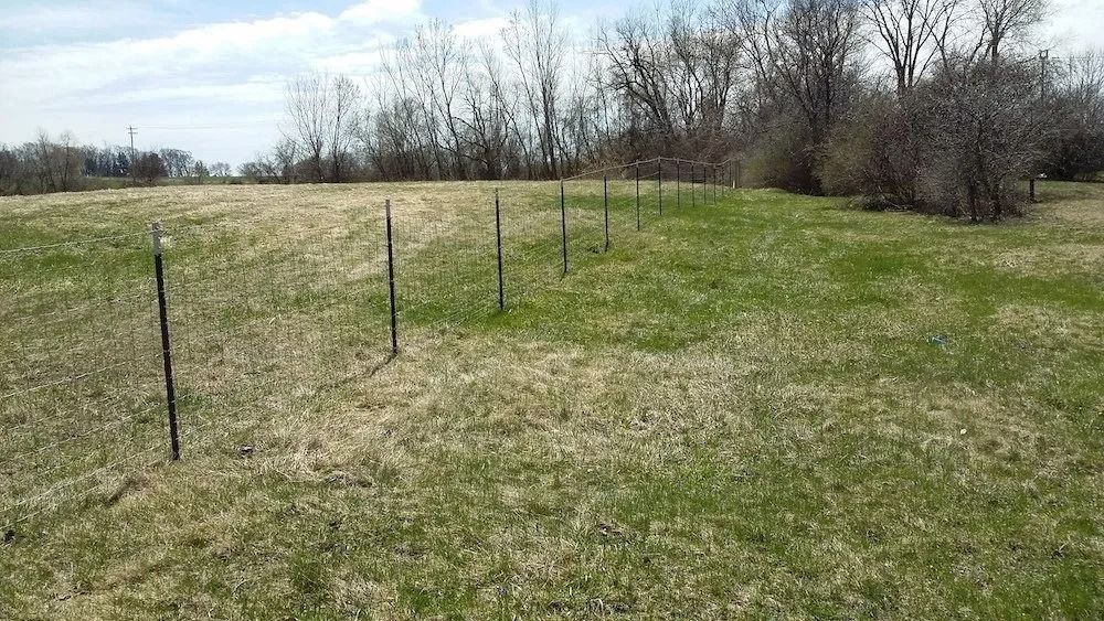A line of metal fence posts runs through a grassy, sunlit field towards a treeline in the distance.