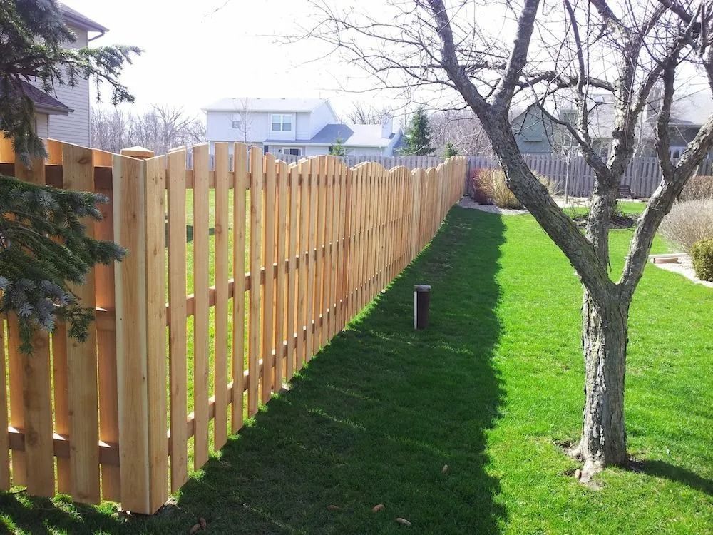 A wooden scalloped-top privacy fence runs along the side of a grassy residential backyard next to a leafless tree.