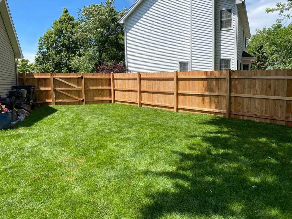 A sunny, well-maintained residential backyard featuring a new light-brown wooden fence and a grassy lawn.