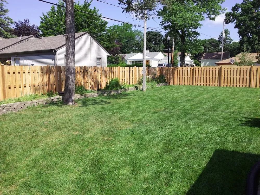 A green grassy backyard bordered by a new wooden privacy fence, with a tree, nearby houses, and trees in the background.