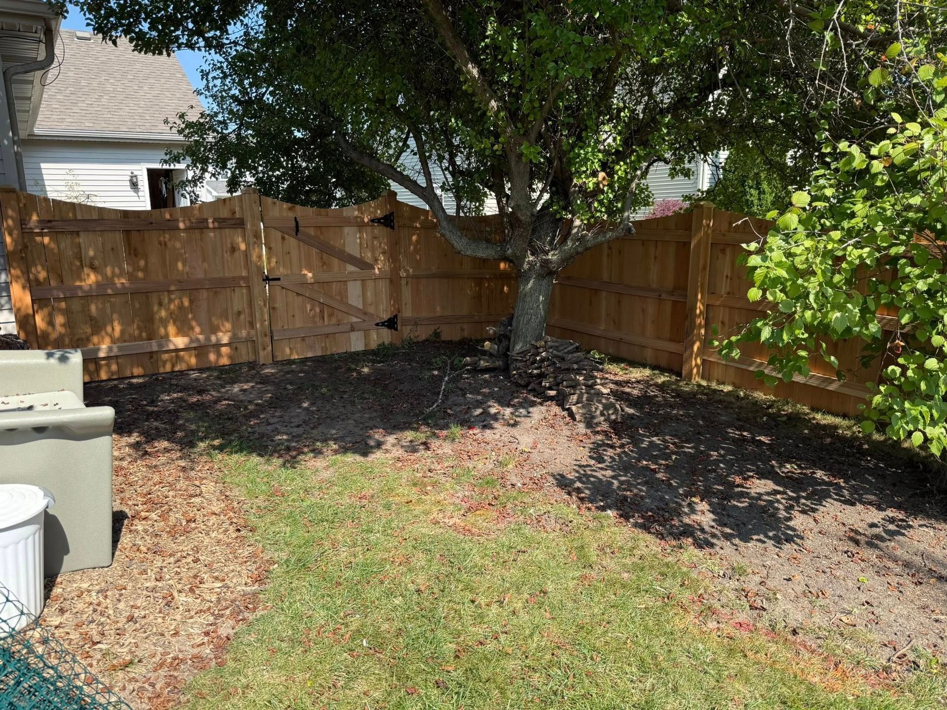 A wooden fence with a gate stands in a backyard, partially shaded by a large tree growing near the fence line.