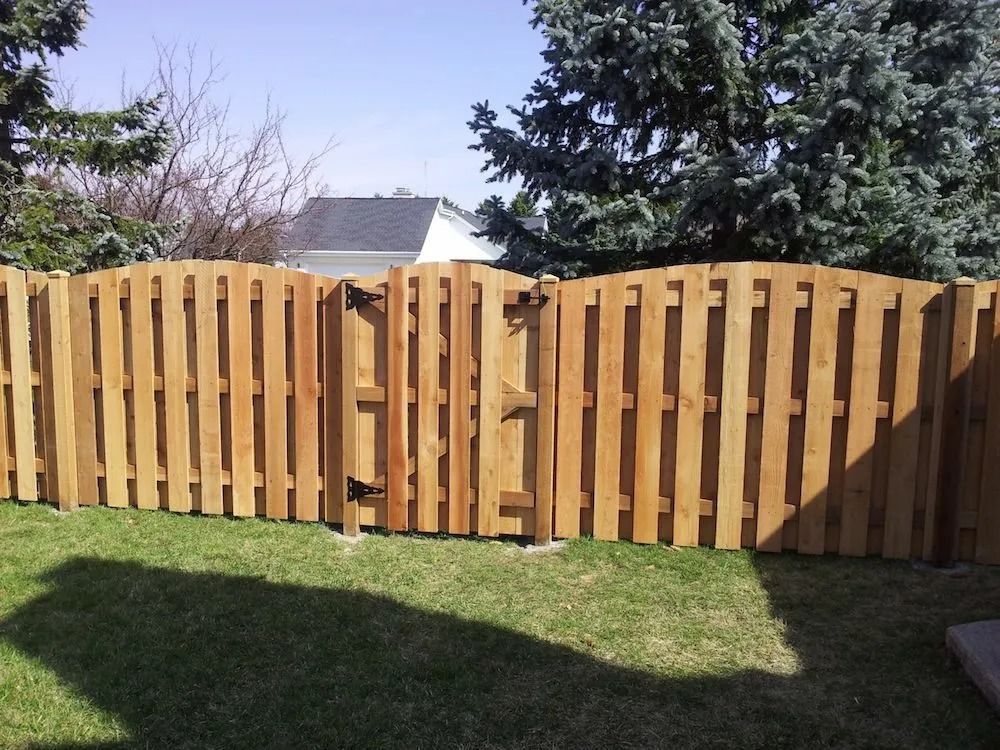 A wooden privacy fence with an arched top and a gate, situated on a lawn in front of evergreen trees and a house.