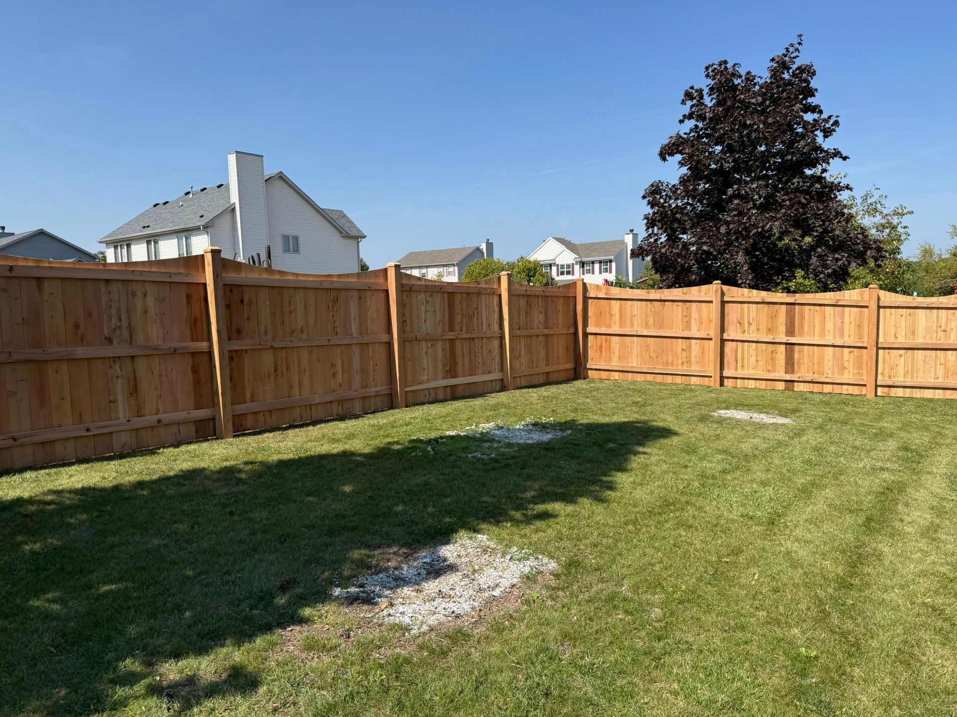 A grassy backyard enclosed by a tall wooden fence, with three patches of gravel visible on the lawn under a clear sky.