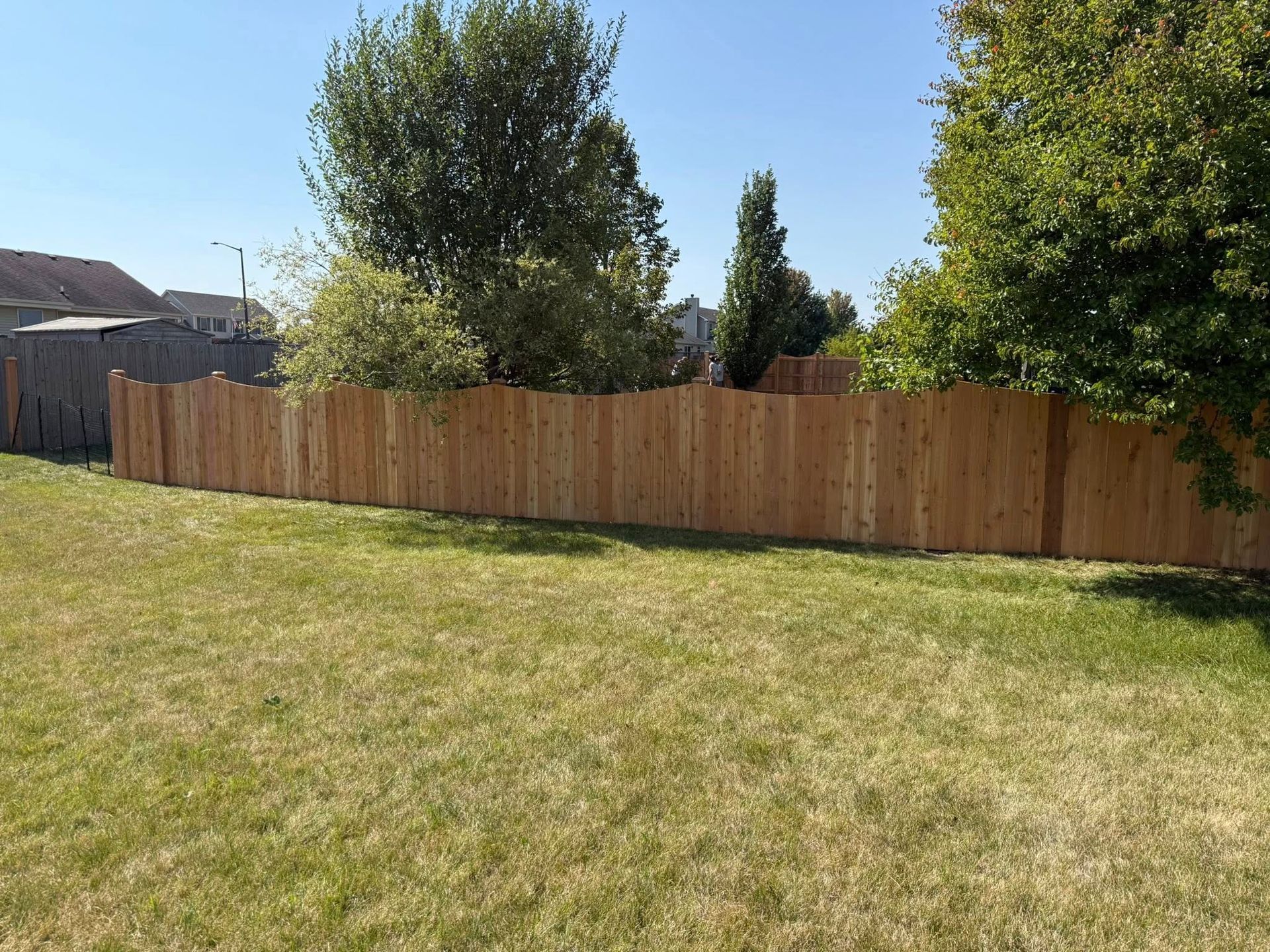 A new cedar wood privacy fence with a scalloped top edge stands in a grassy backyard under a clear blue sky.