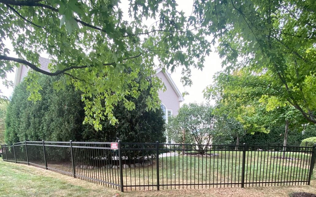 Black metal fence and grassy yard under leafy trees beside a house in a quiet suburban setting