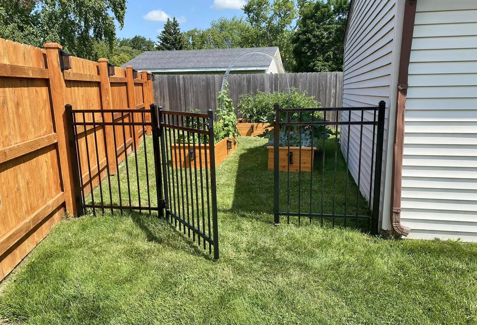Black metal garden gate beside a fenced backyard and house, with open yard and shed in the background