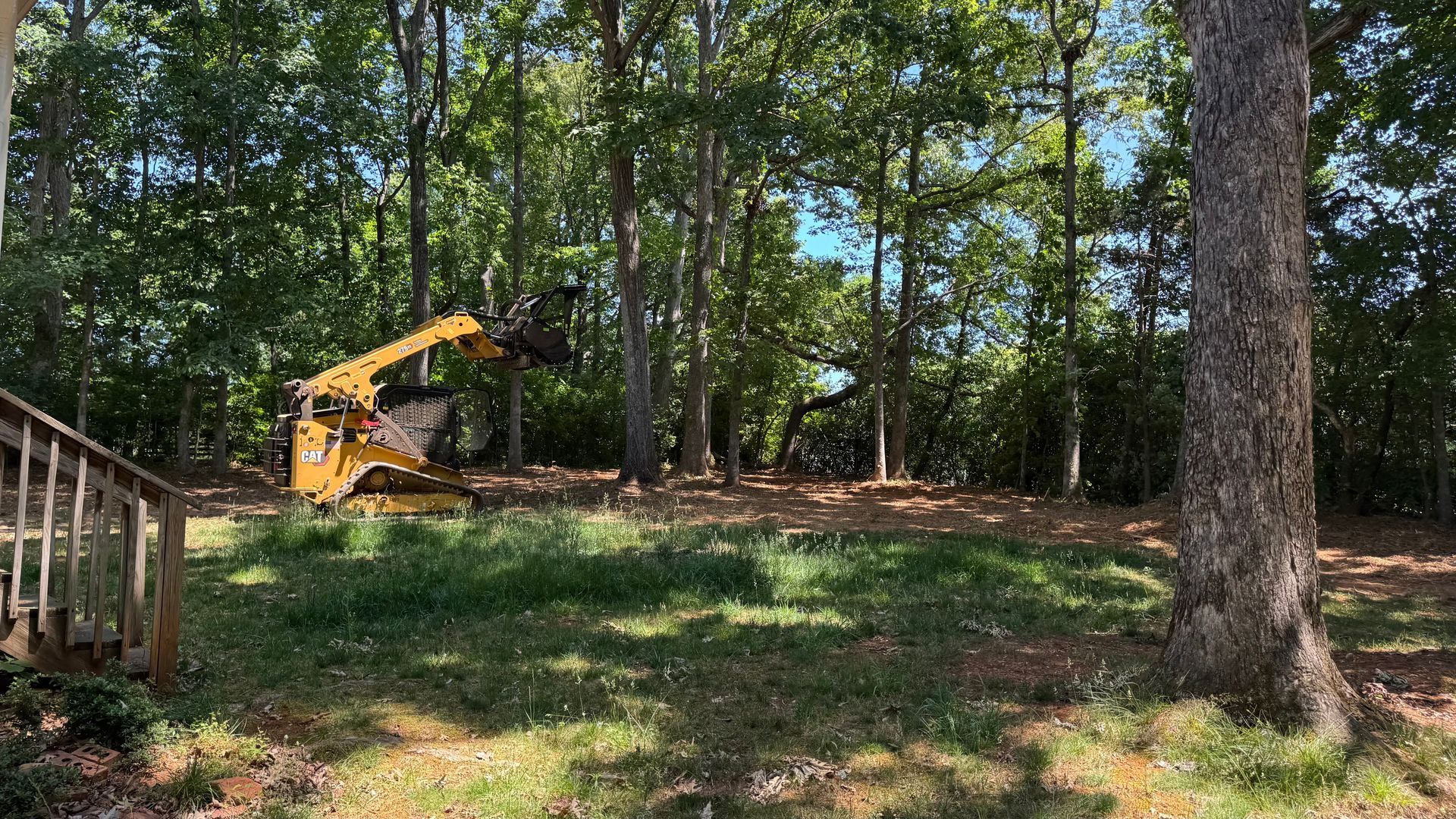 Yellow excavator clearing ground in a wooded yard with trees and a wooden deck nearby.