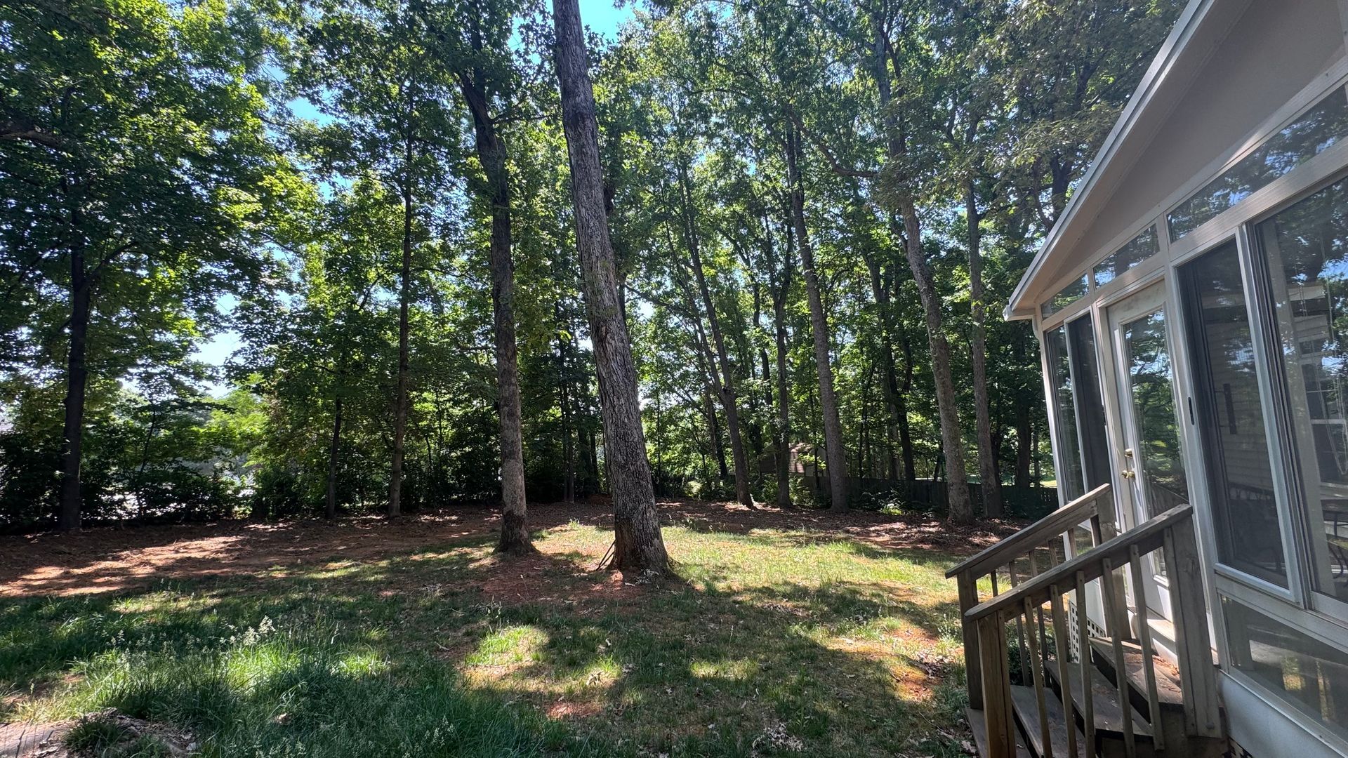 Backyard with tall trees, a grassy slope, and a house deck with windows on the right.
