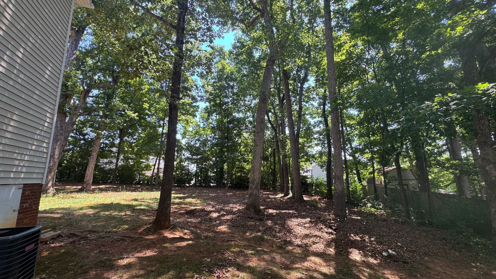 Wooded backyard with tall trees, dappled sunlight, and a brick house edge on the left.