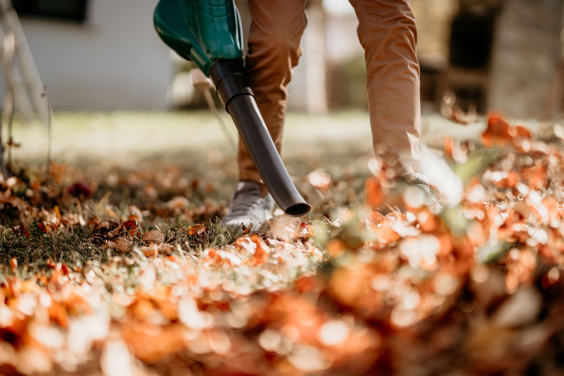 Person using a leaf blower to move fallen leaves in a yard; brown trousers, green blower.