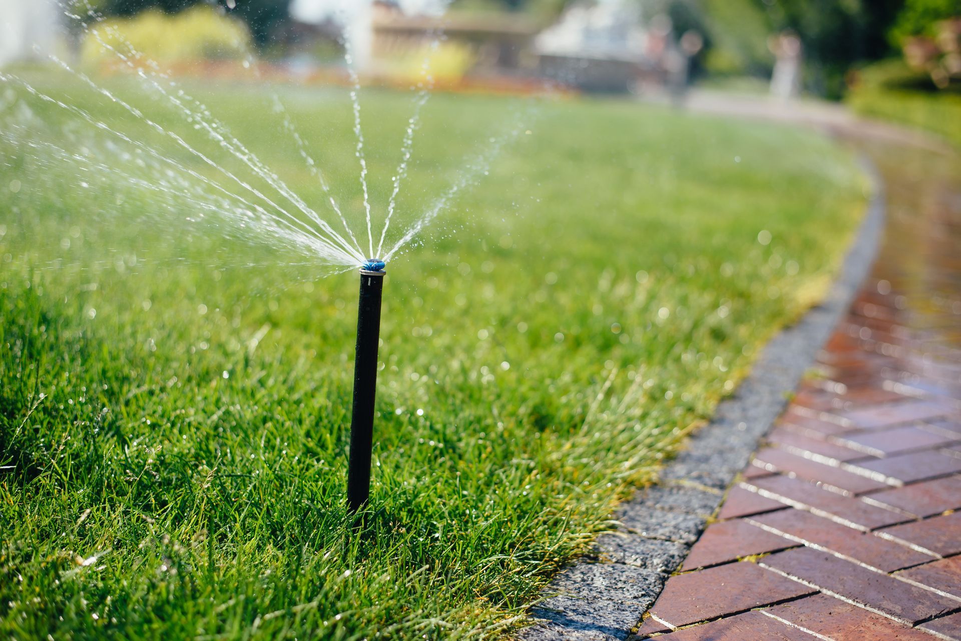 Sprinkler watering green grass near a brick pathway in a garden.