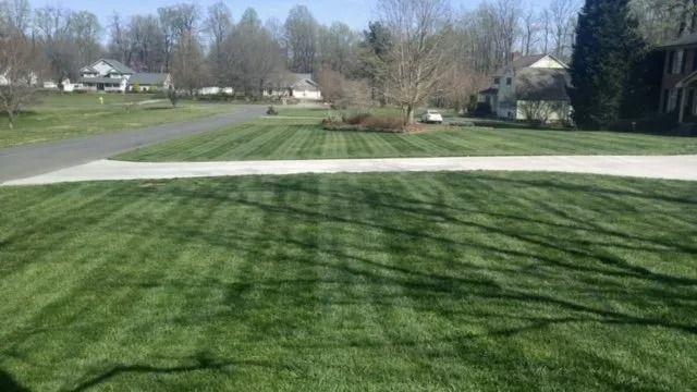 Green lawn with striped mowing pattern, road, houses, and trees in a sunny residential neighborhood.