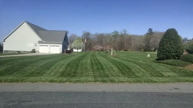 Lawn with freshly cut stripes in front of a house on a sunny day.