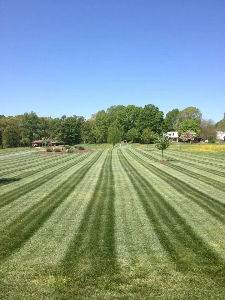 Lawn with alternating stripes of light and dark green under a bright blue sky, with trees in the background.