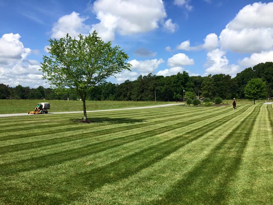 Lawn mower cutting stripes into a green field under a blue sky with fluffy clouds; a tree casts a shadow.