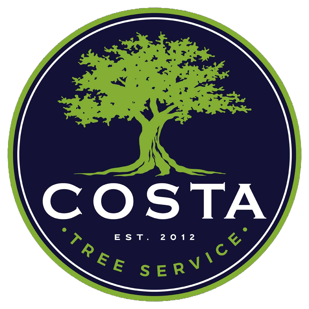 Costa Tree Service, LLC