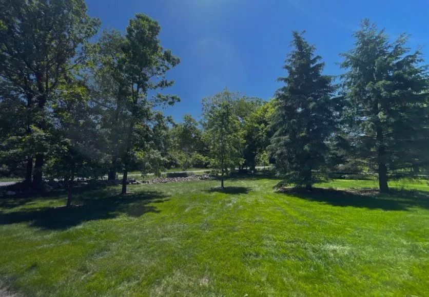 Green grassy area with trees under a bright blue sky.