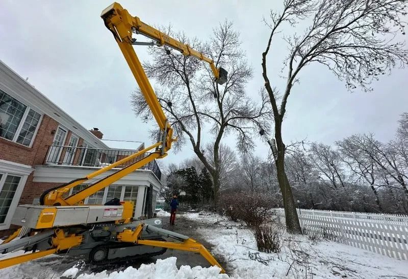 Yellow lift cutting tree branches near a house, in a snowy setting.