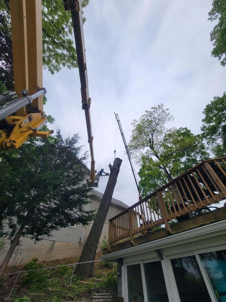 Crane removing a tree next to a house with a deck. The sky is overcast.