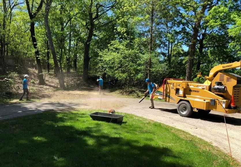 Three people chipping wood in a wooded area with a large yellow wood chipper and a dirt road.