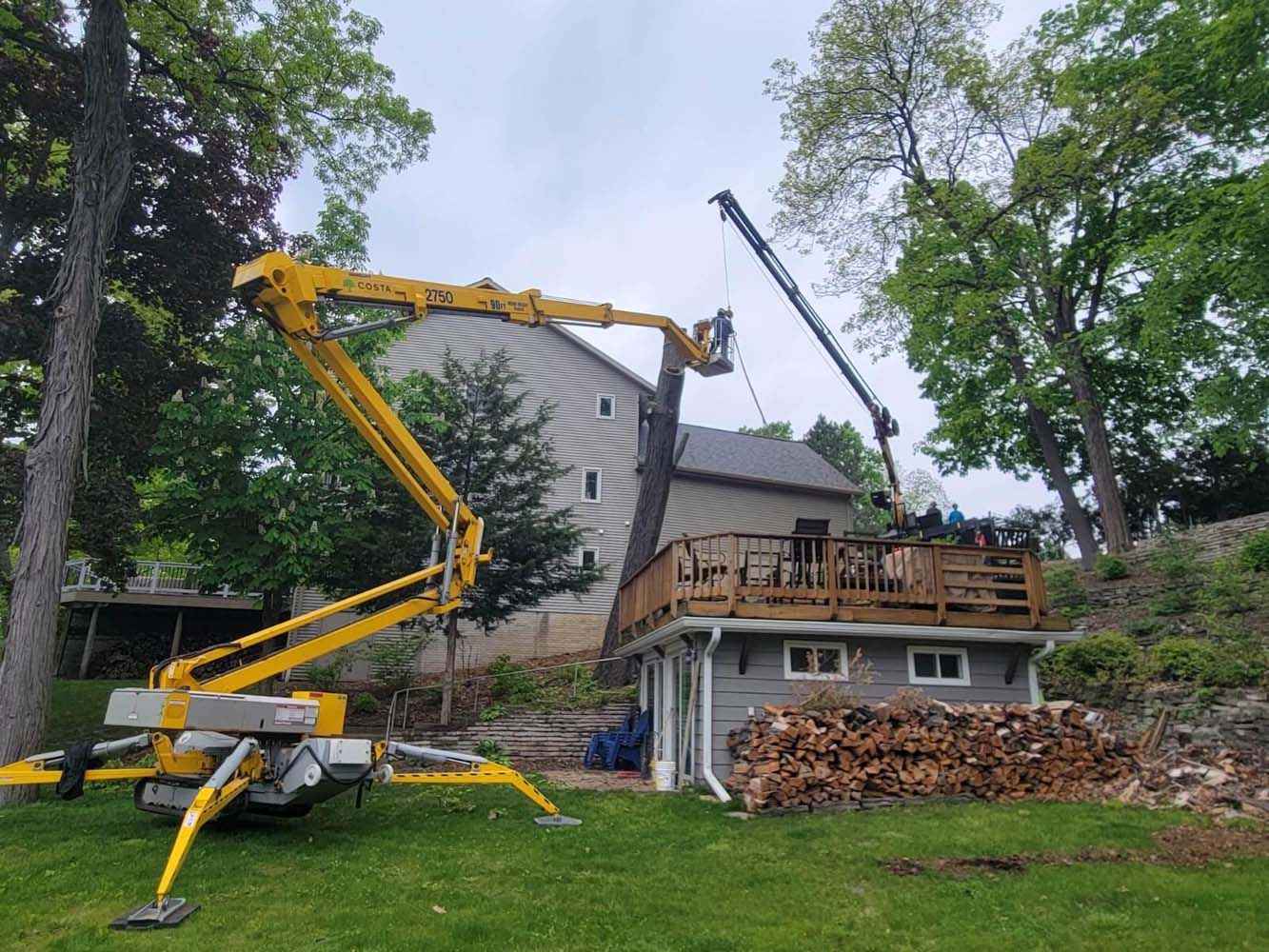 Yellow tree-trimming lift cutting a tree near a house with a deck. A second crane is also present.