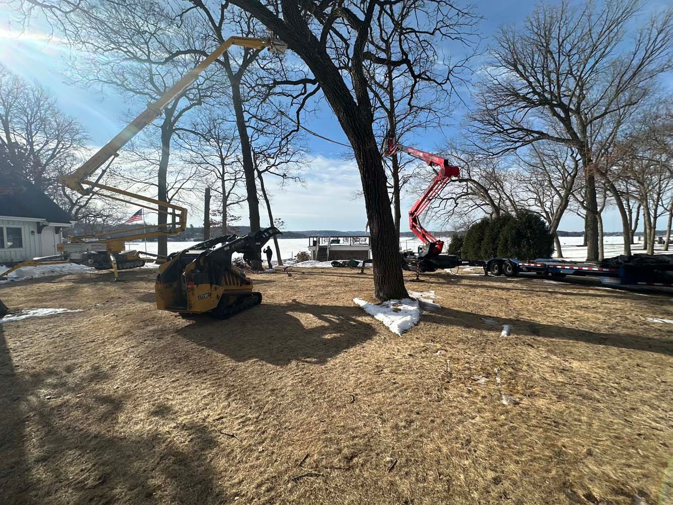 Tree being trimmed with equipment on a wood-chipped yard; water and sky in background.