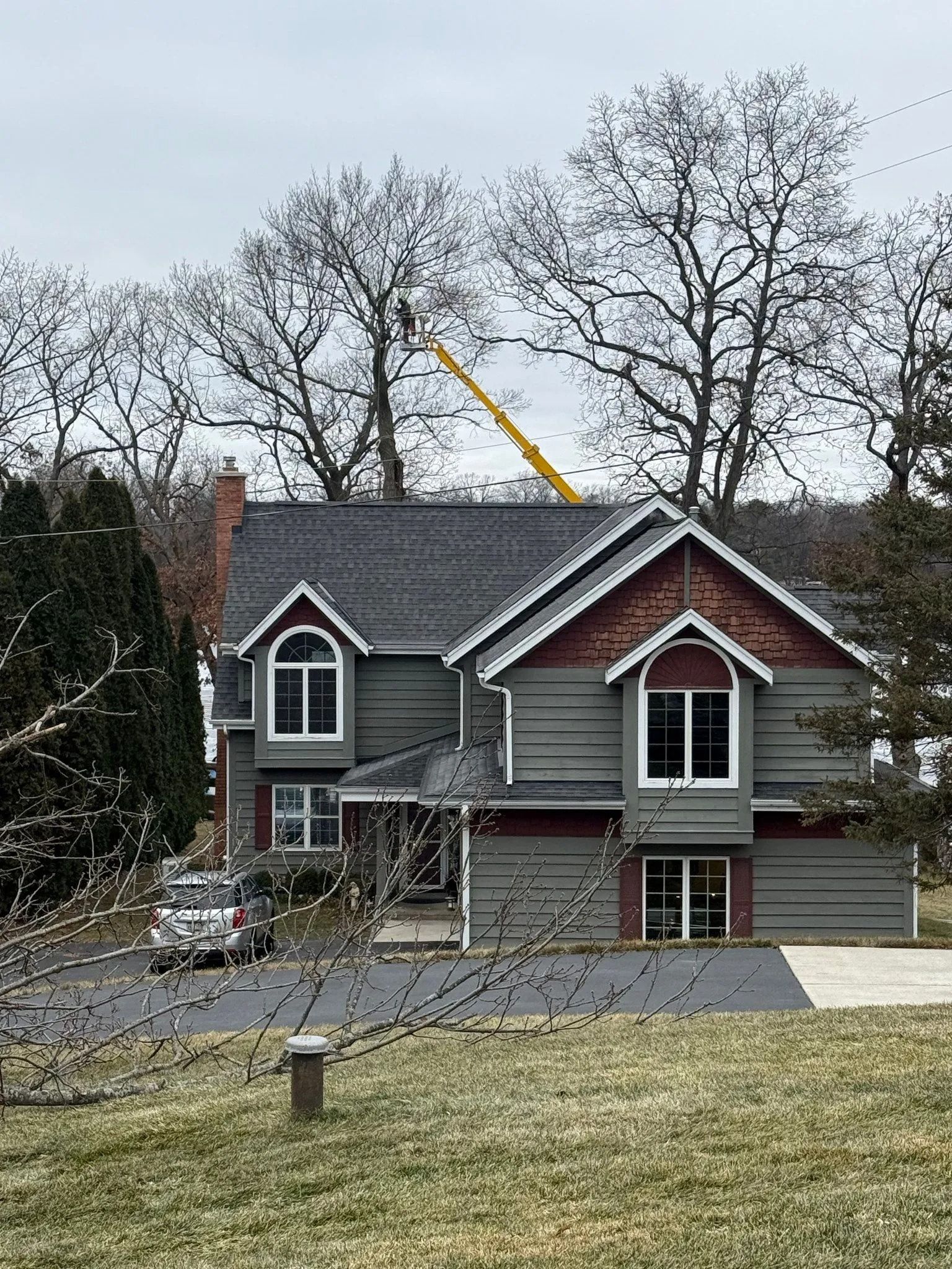 House with tree trimming in progress; yellow lift in trees, green siding, gray roof.