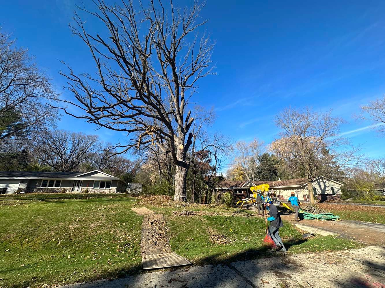 A sunny day shows leafless trees and houses. A person rakes leaves in a yard with scattered leaves.