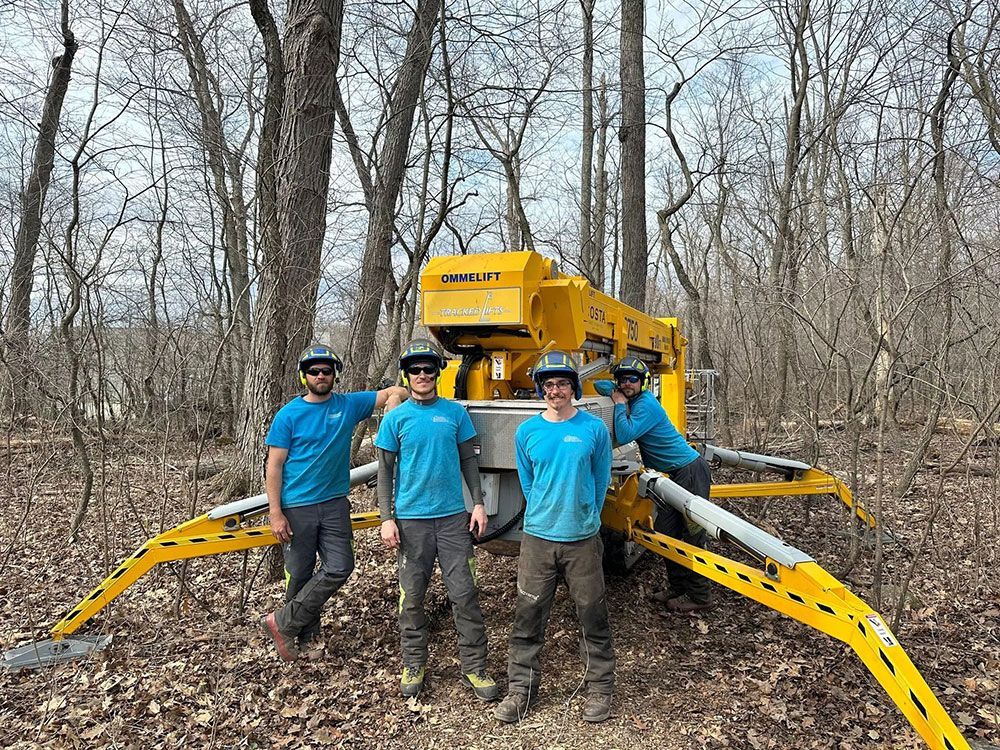 Four people stand near a yellow forestry machine in a wooded area.