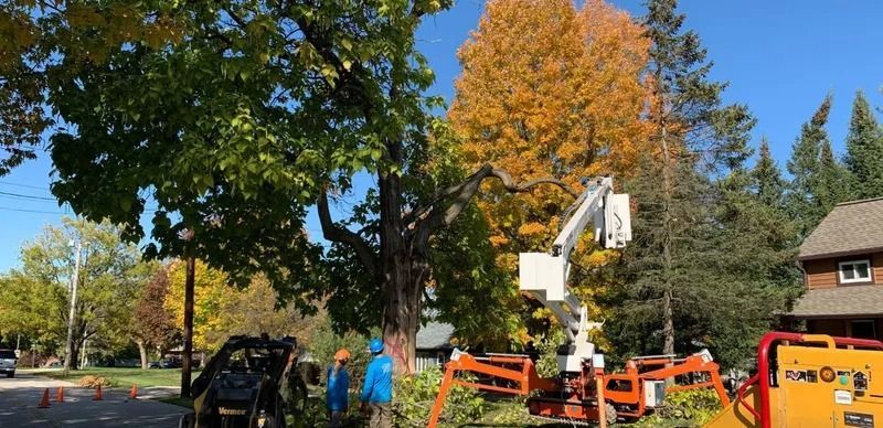 Tree service with workers, lift, and chipper in autumn setting.