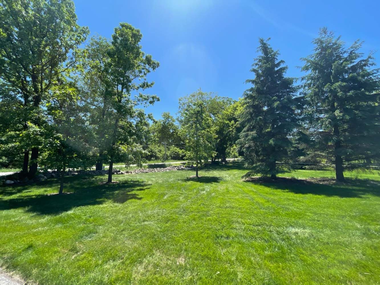 Green grassy yard with trees under a bright blue sky.