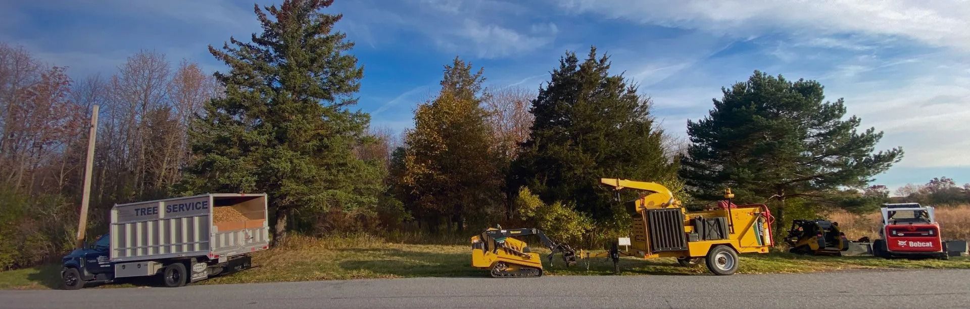 A dump truck, tree-removal equipment, and a red machine parked along a road with trees in the background.
