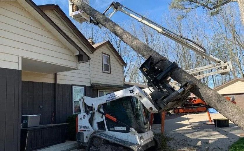 Bobcat skid steer with tree-cutting attachment is trimming a tree near a house.