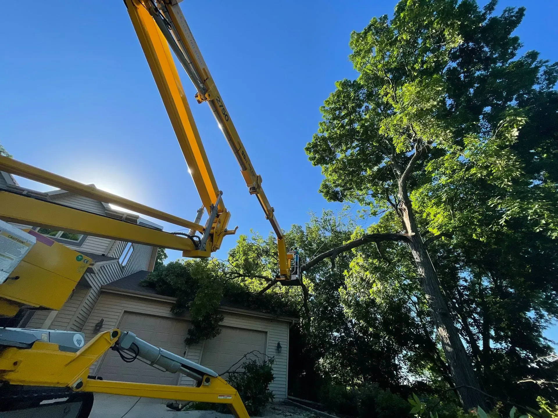 Costa Tree Service, LLC