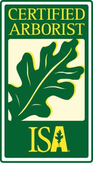 Green and cream ISA Certified Arborist logo with a stylized oak leaf.