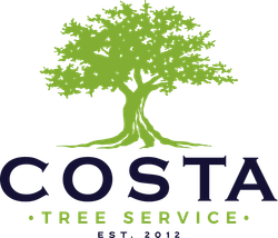 Costa Tree Service, LLC - logo