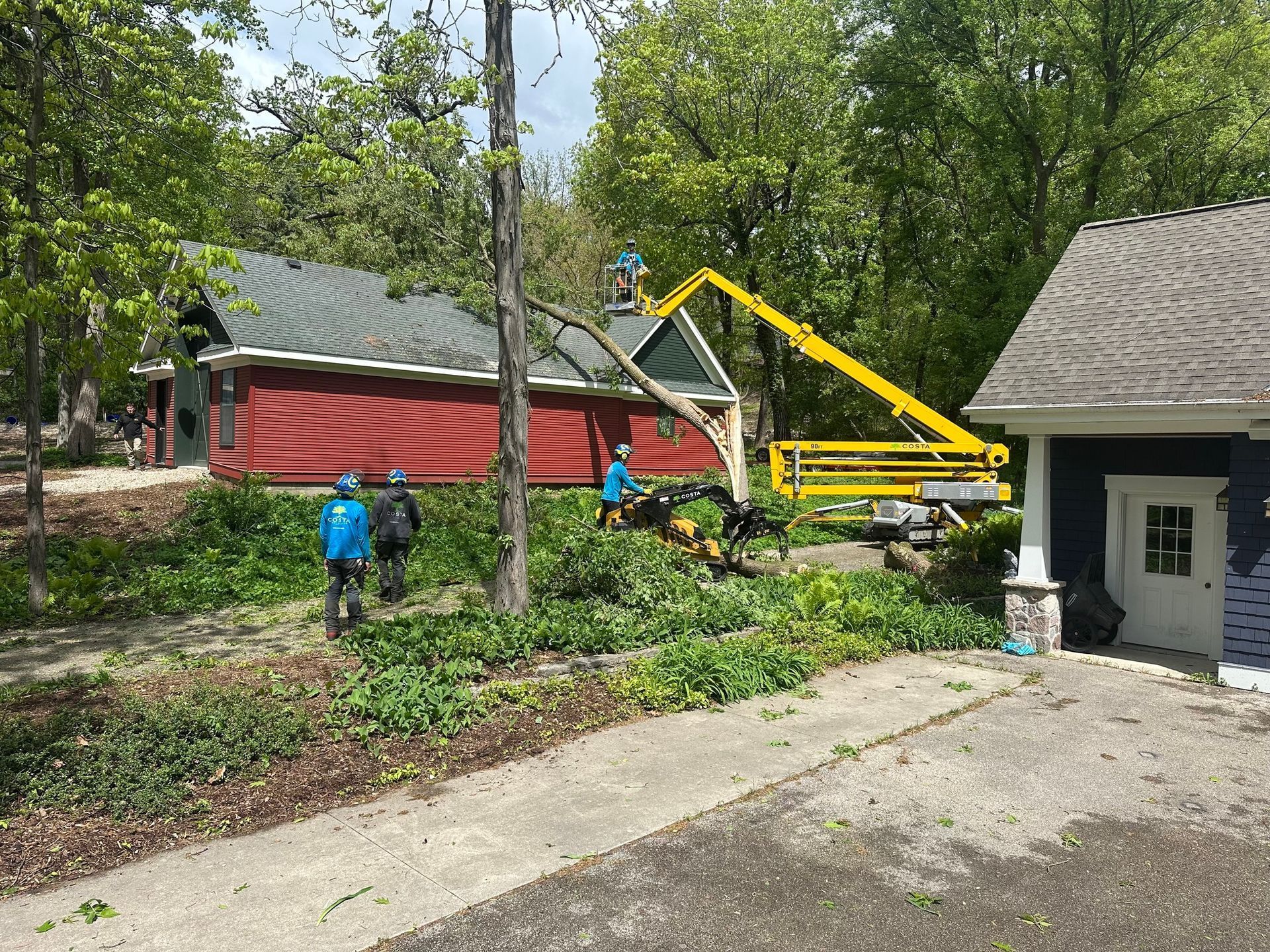 Tree trimming crew using a lift by a red building, green trees.