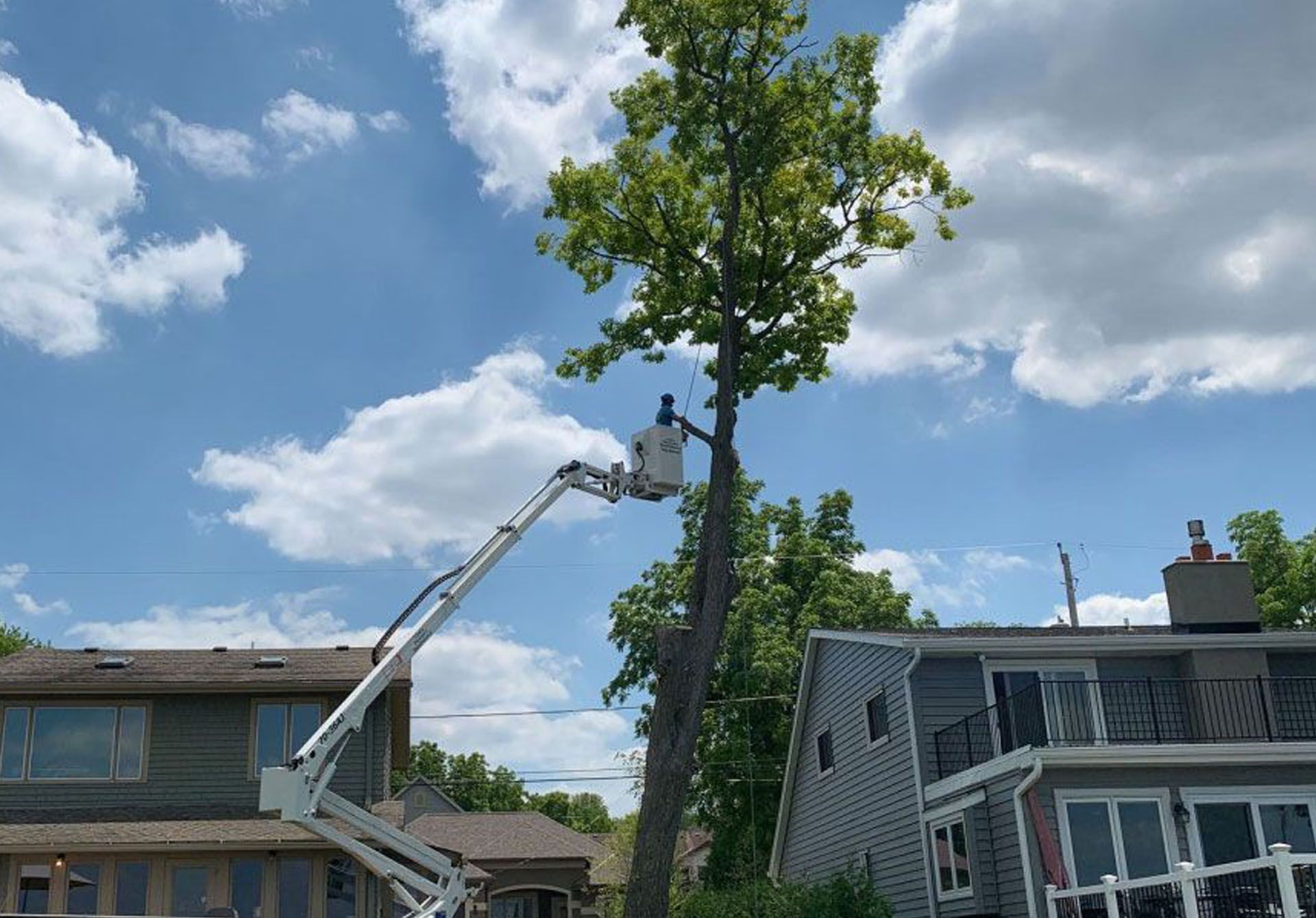 A tree trimmer in a lift trimming a tall tree next to houses, under a blue, cloudy sky.