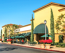 Business/Farm insurance